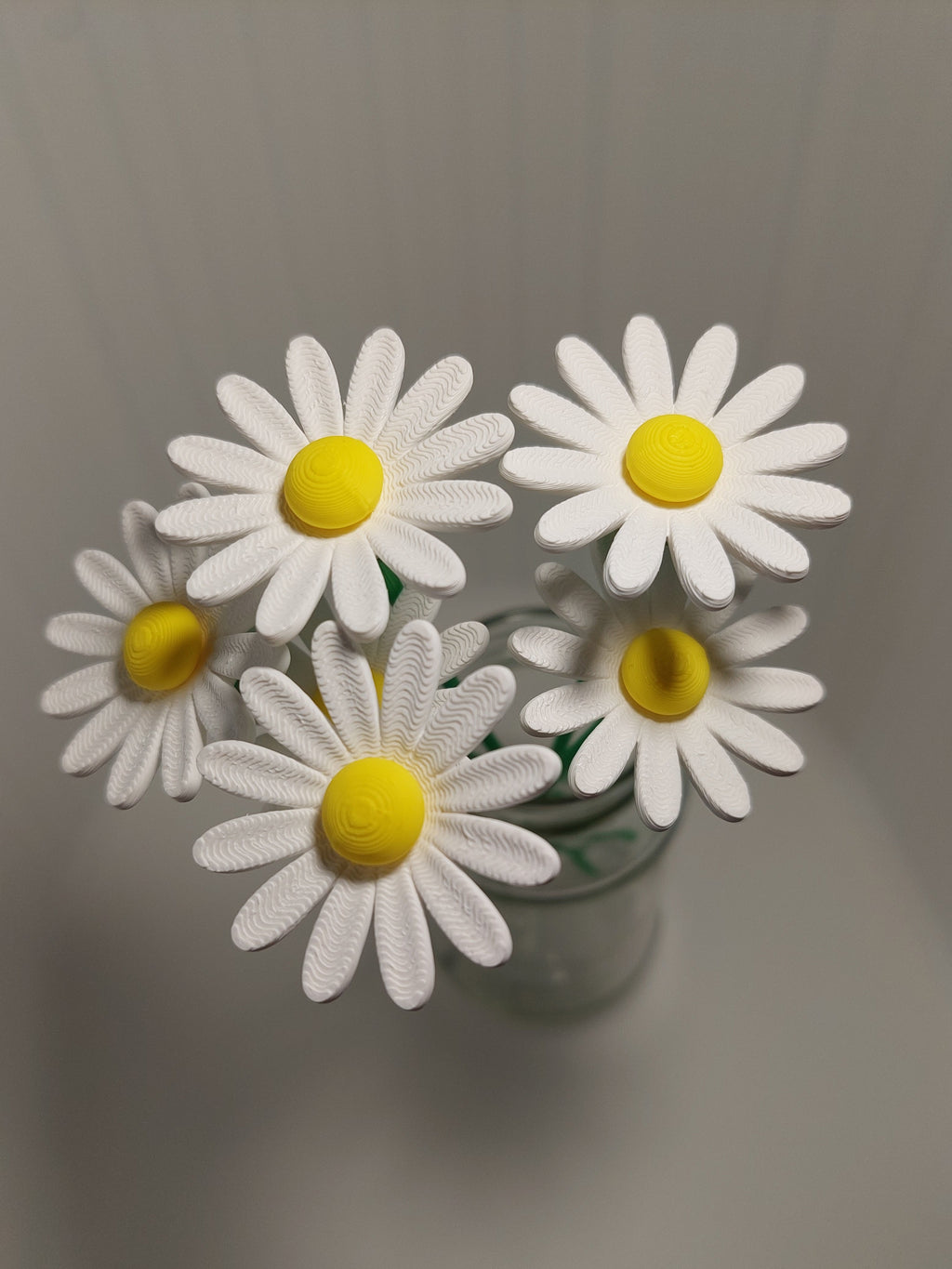 Daisy