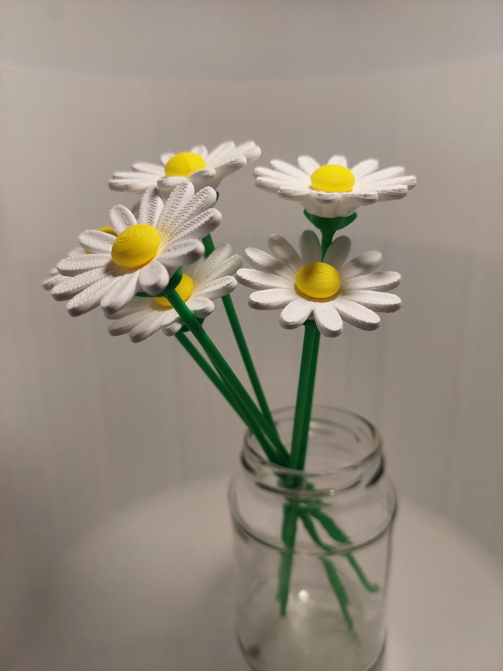 Daisy