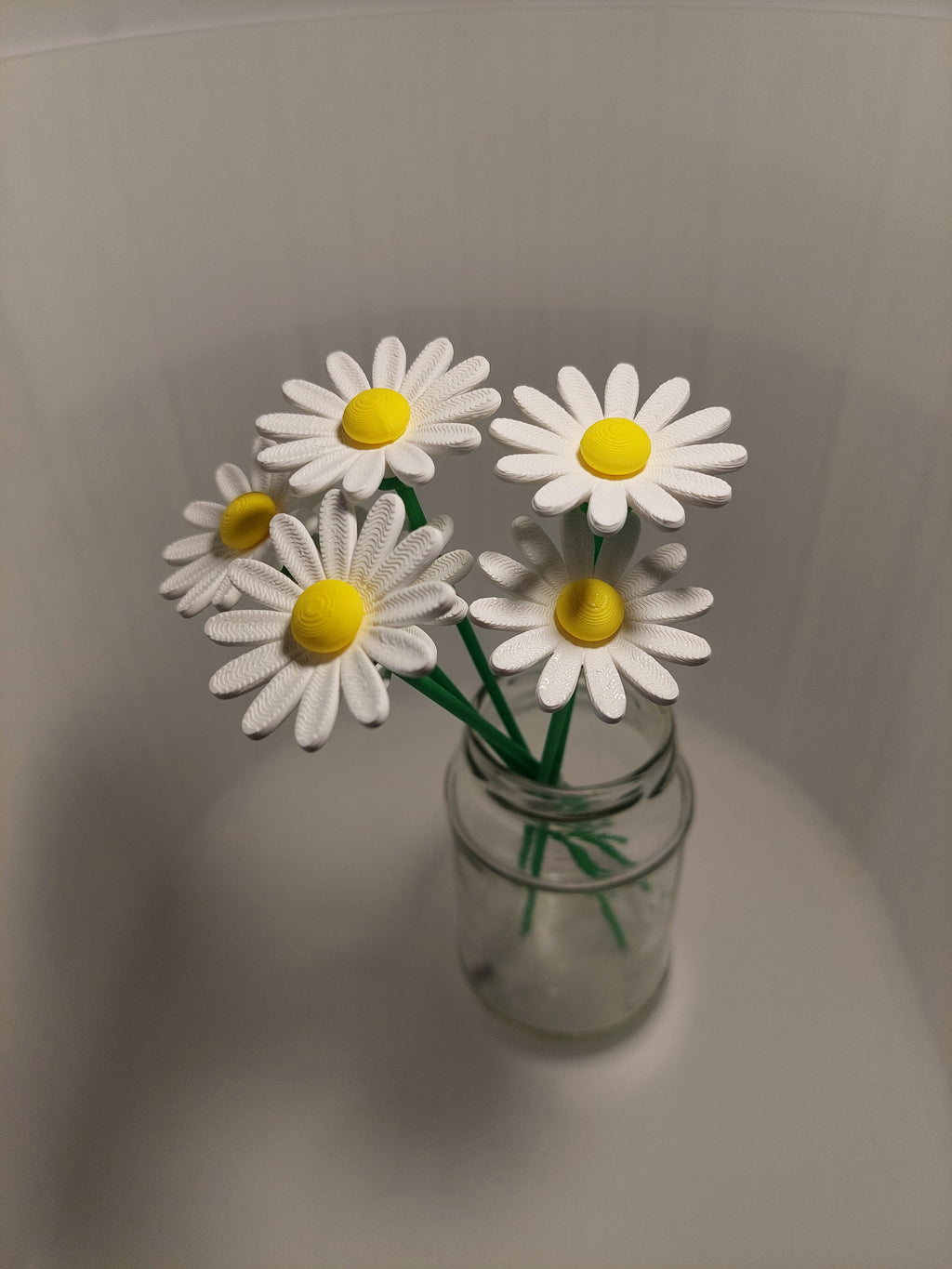 Daisy